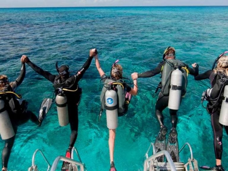 Catalina Scuba Diving & Snorkeling