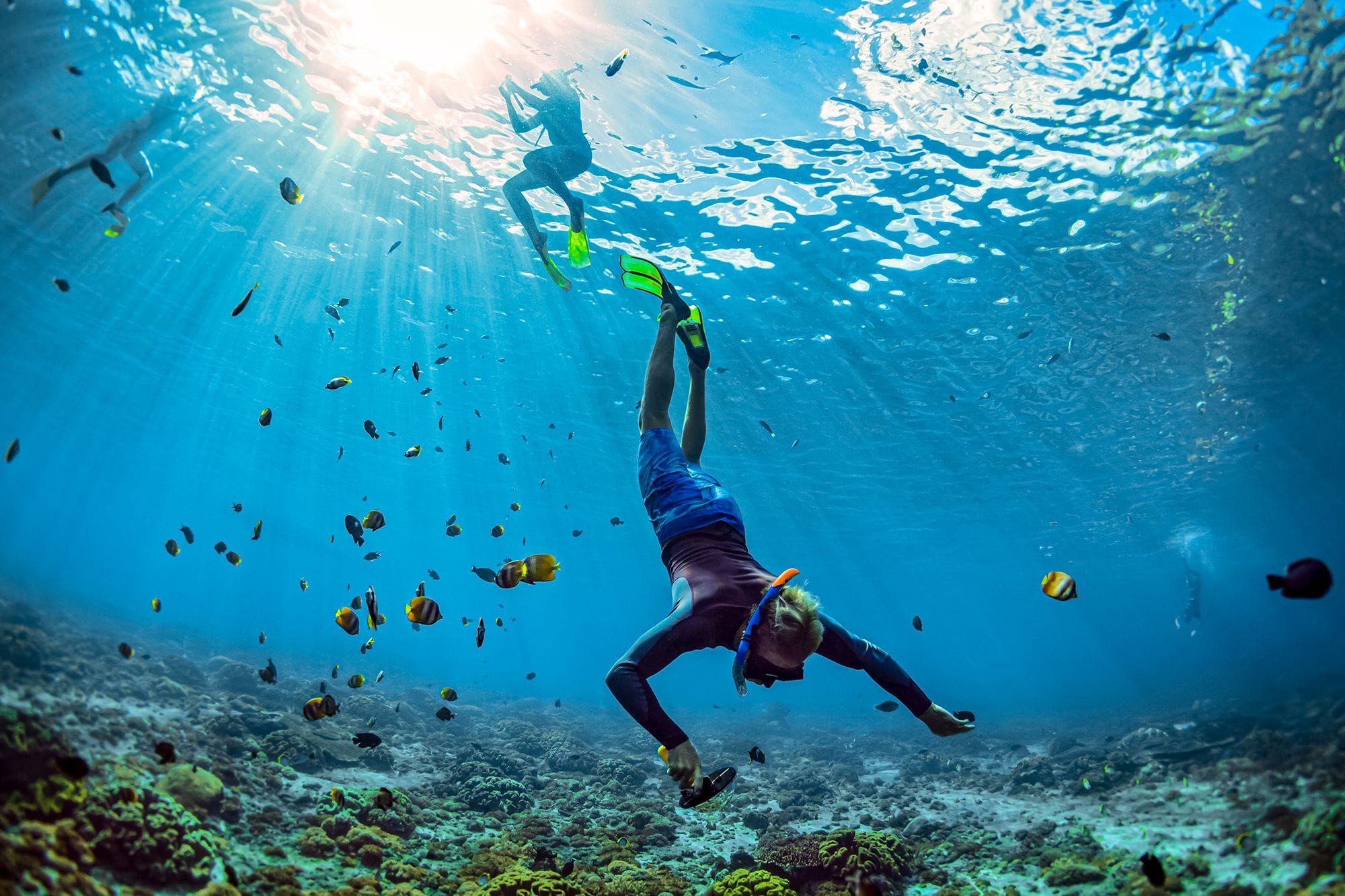 Snorkelers diving on a coral bed surrounded by fish at Negril 7-mile beach.