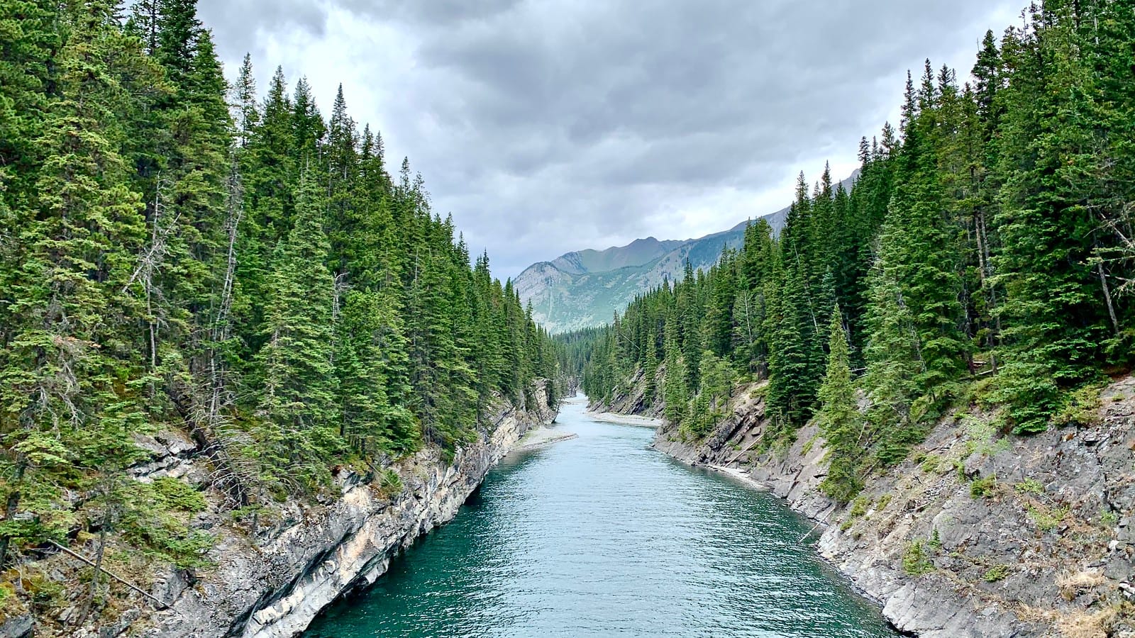 A beautiful river running through a narrow canyon, and lined with pine trees on both sides. 