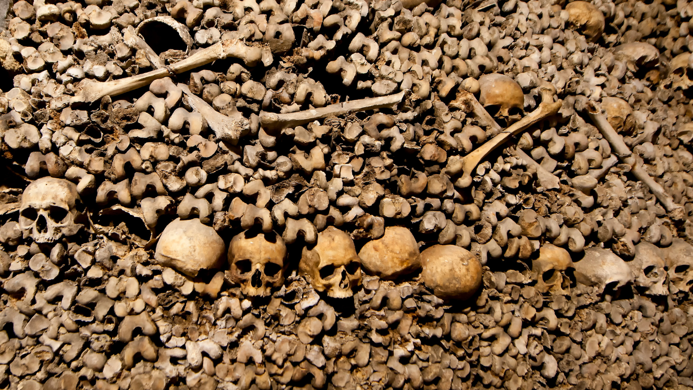 Bones and skulls lining the walls beneath the streets of the Paris catacombs.