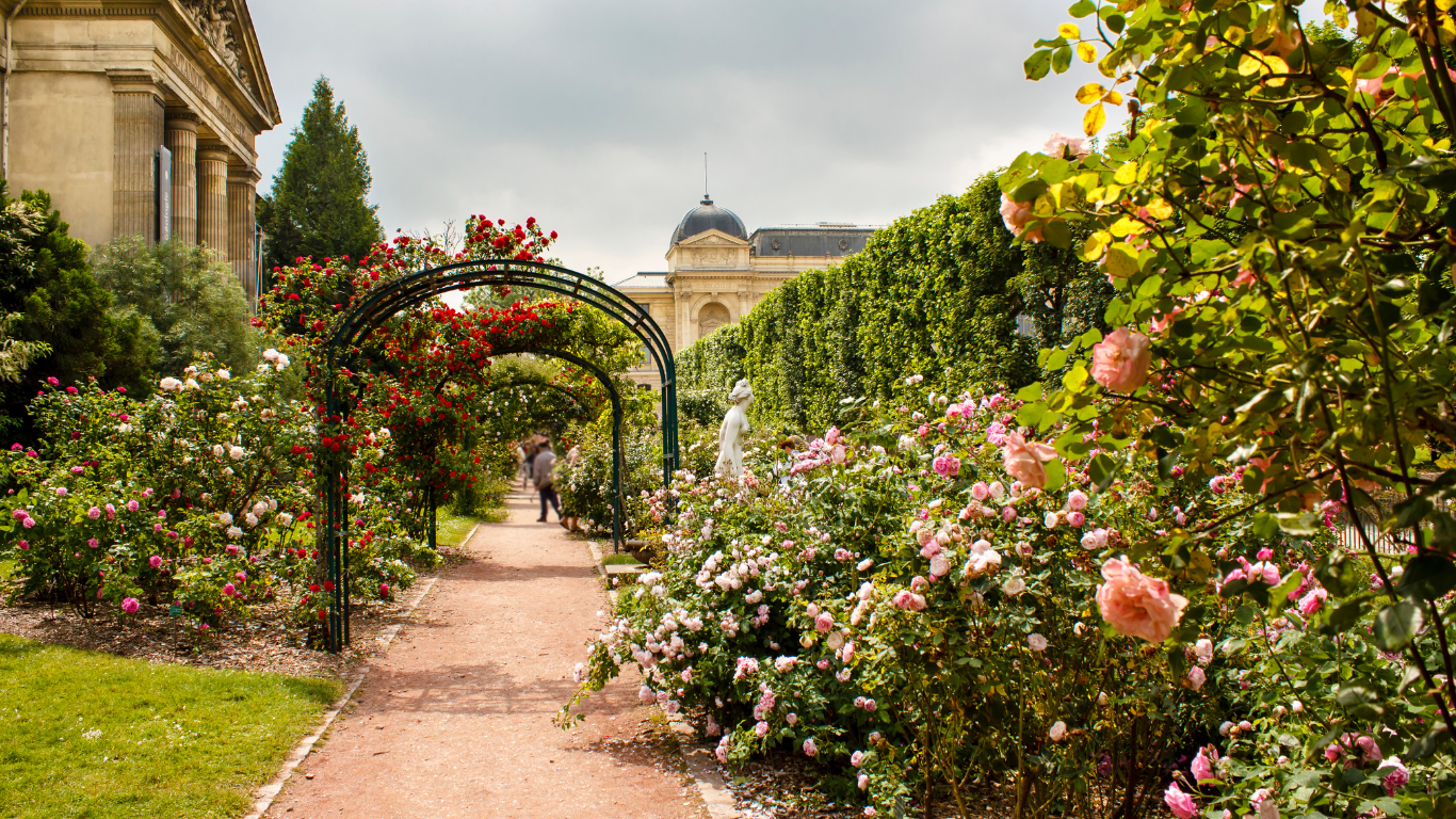 A garden in Paris, France in the Spring time with pink roses along a walking path.