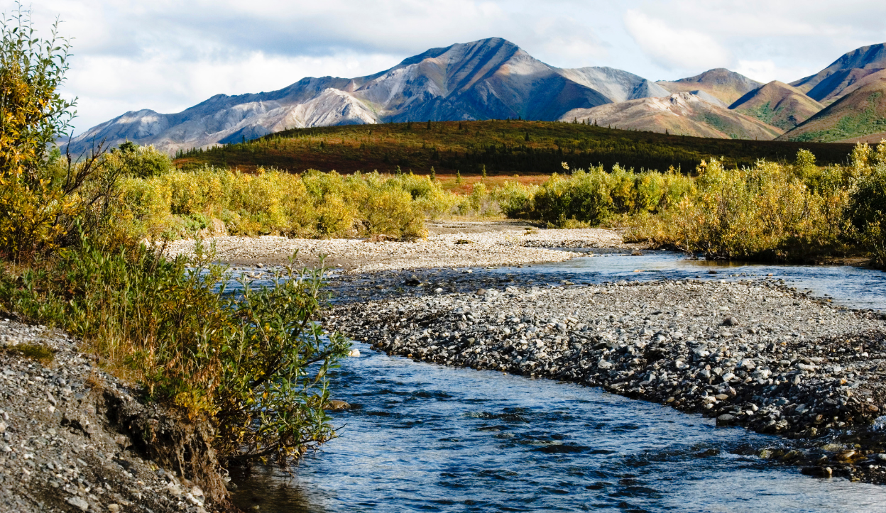 A river running through Denali National Park, USA