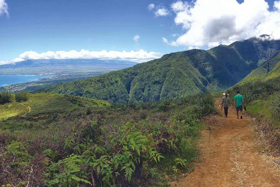 Two people walking on a mountainous trail in Central Maui near Wailuku 