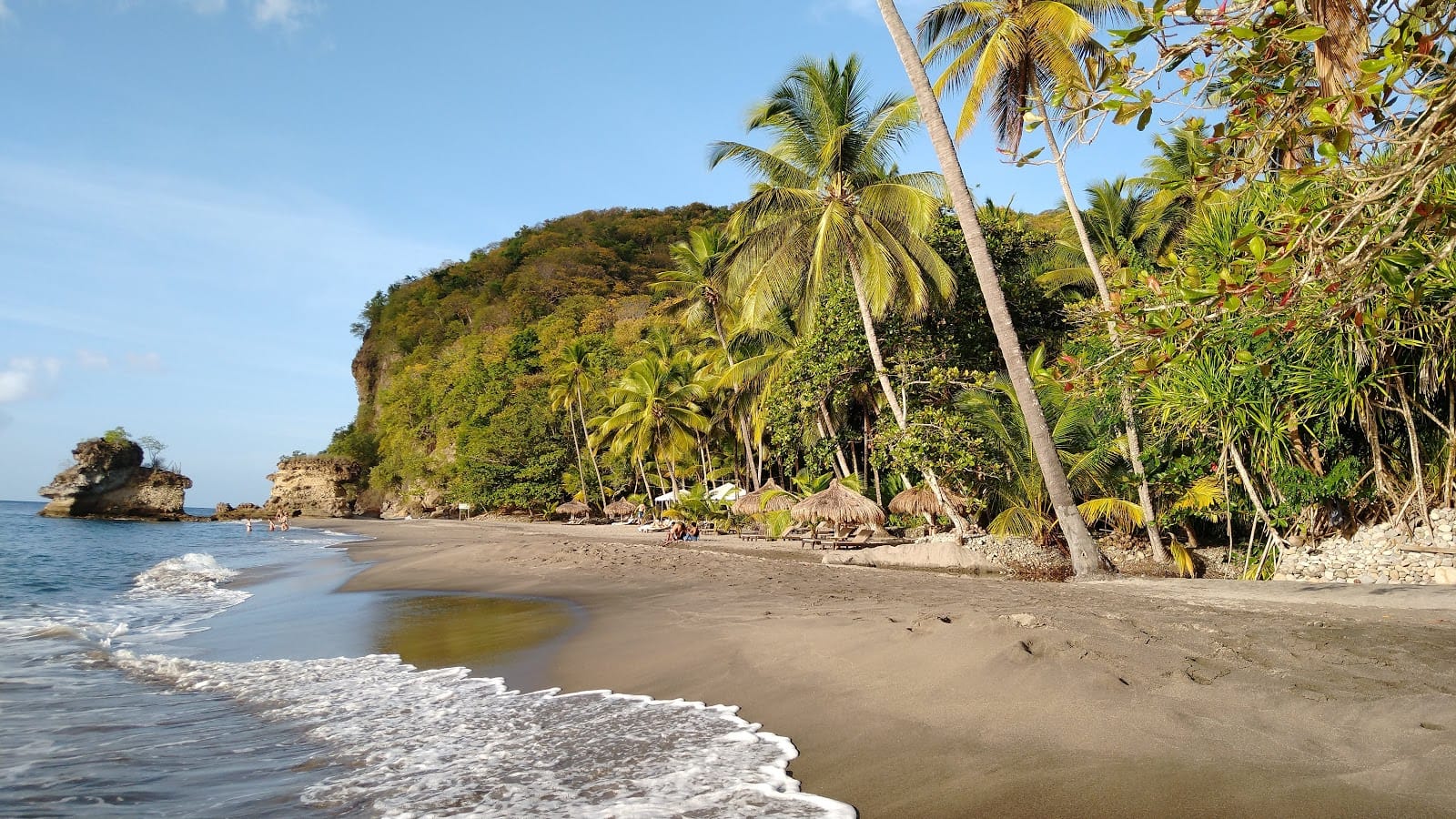 a beach with water washing a shore and palm trees line the back of the beach.