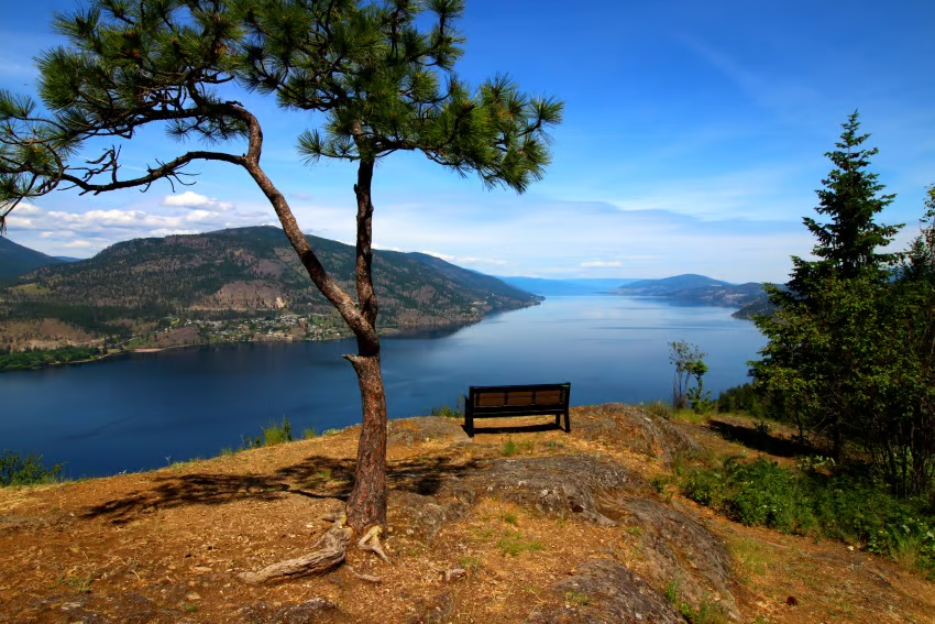 Bench seat next to a tree over looking the lake with barren cliff sides and a few cedar trees. 