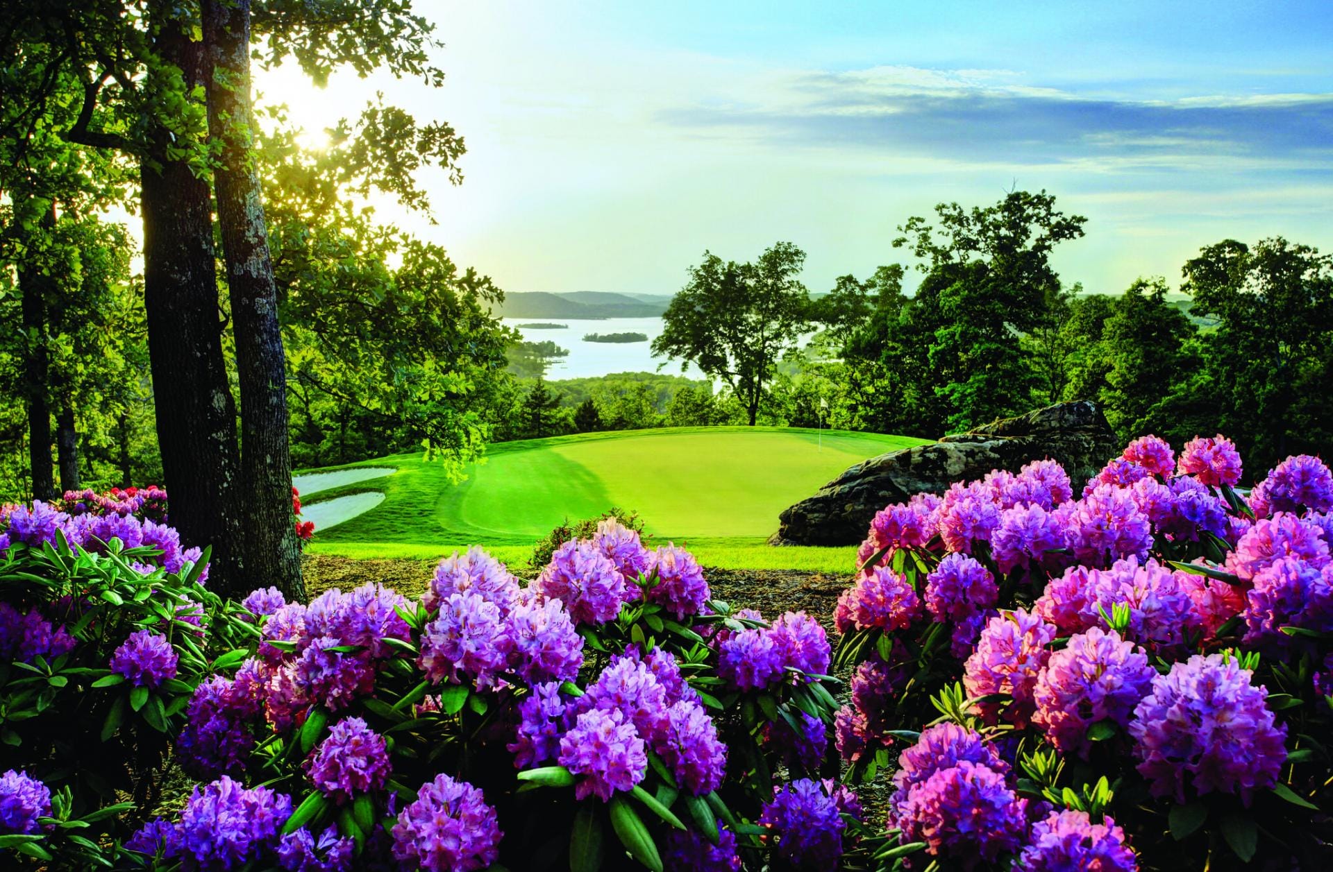 Golf course green surrounded by bright purple flowers, bright green lush grass and a lake in the background. 