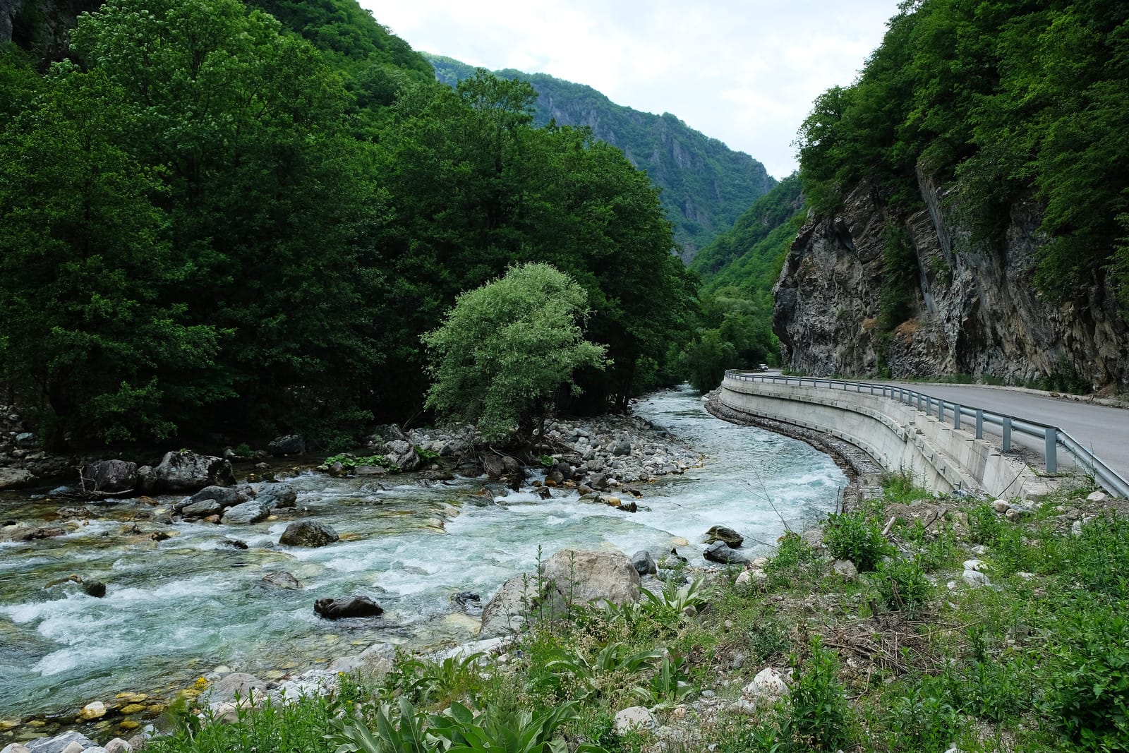 Mountain road running alongside a fast-flowing river in Mavrovo National Park, North Macedonia, surrounded by dense green forest and rocky cliffs under an overcast sky.