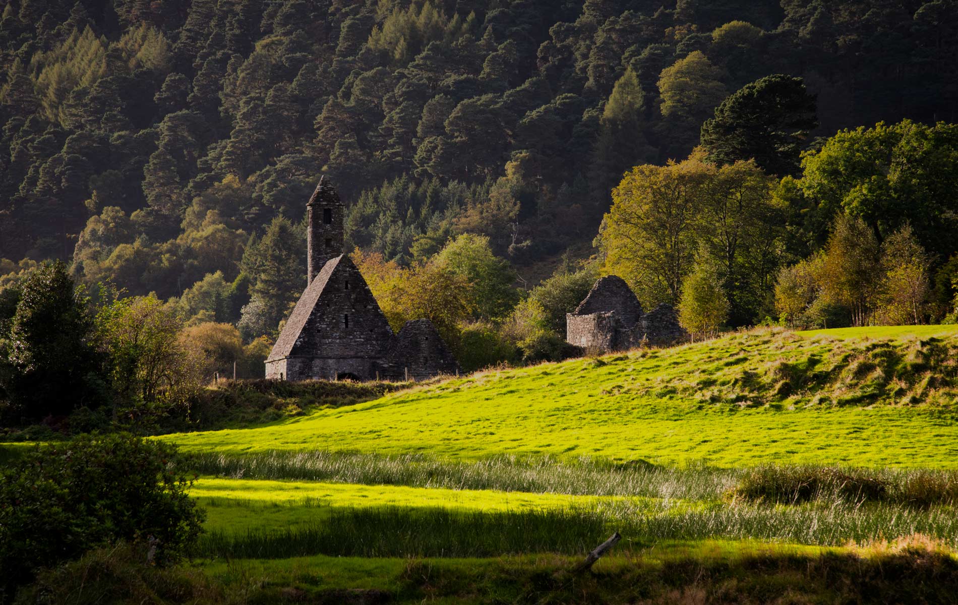 Ancient stone church ruins at Glendalough in County Wicklow, Ireland, surrounded by lush green fields and dense forested hills under soft sunlight.