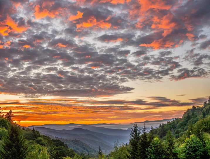 Fiery sunrise over layered mountain ridges and dense forest in Great Smoky Mountains National Park.