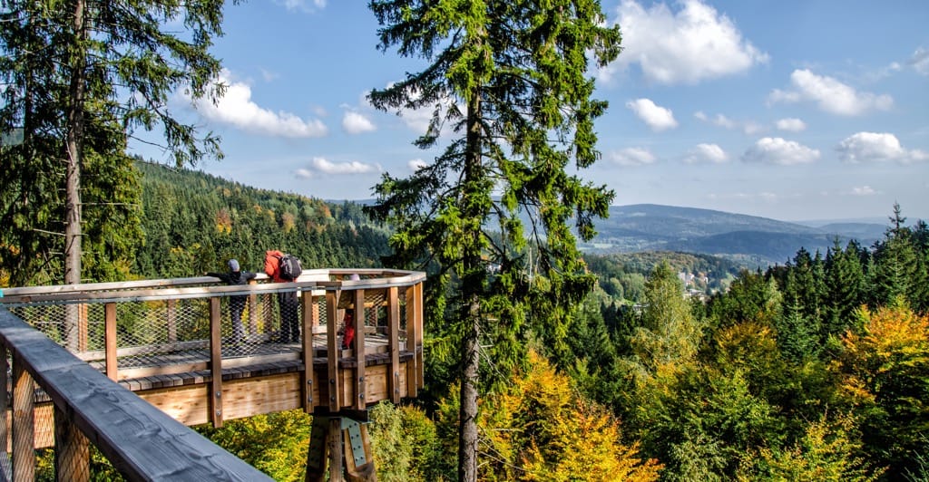 Elevated wooden walkway in Hainich National Park offering panoramic views of a vibrant forest landscape with hikers enjoying the scenic vista.
