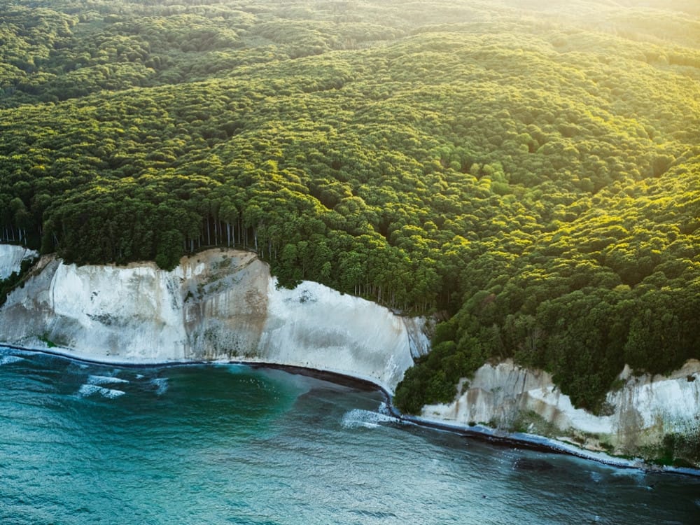Aerial view of Jasmund National Park's dramatic white chalk cliffs rising above turquoise sea waters, bordered by thick forest illuminated by golden sunlight.