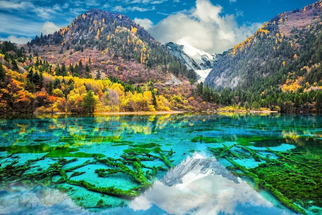 Vibrant autumn landscape in Jiuzhaigou Valley National Park, China, featuring turquoise water with submerged tree branches, colorful forested hills, and a snow-capped mountain reflected in the crystal-clear lake.