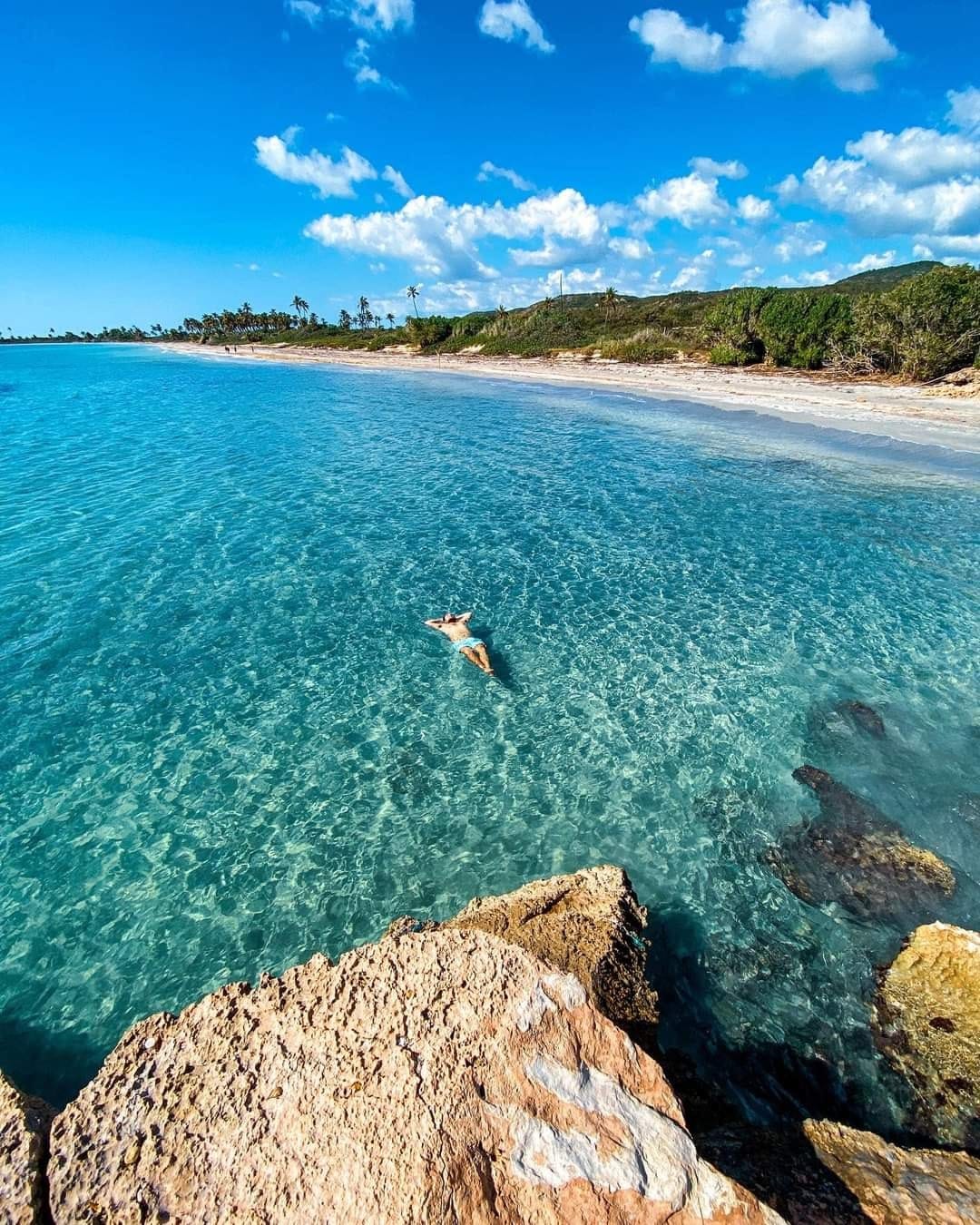 Person floating in clear turquoise water near rocky shoreline at Playa Ballena Beach near Ponce, Puerto Rico, with a sandy beach, palm trees, and lush greenery stretching along the coast under a bright blue sky with scattered clouds.