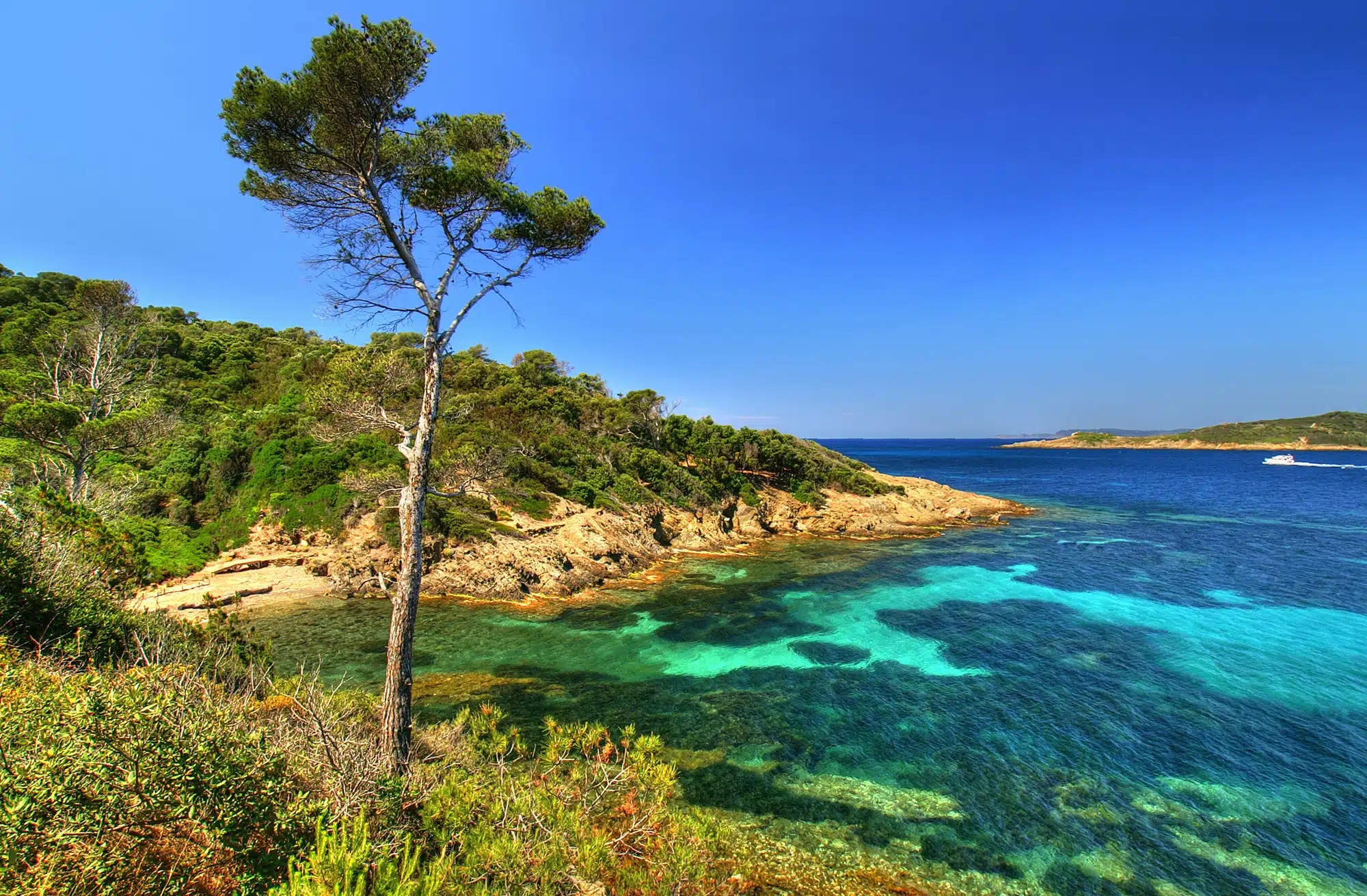 Coastal view of Port-Cros National Park with turquoise waters, rocky shoreline, and lush Mediterranean vegetation.