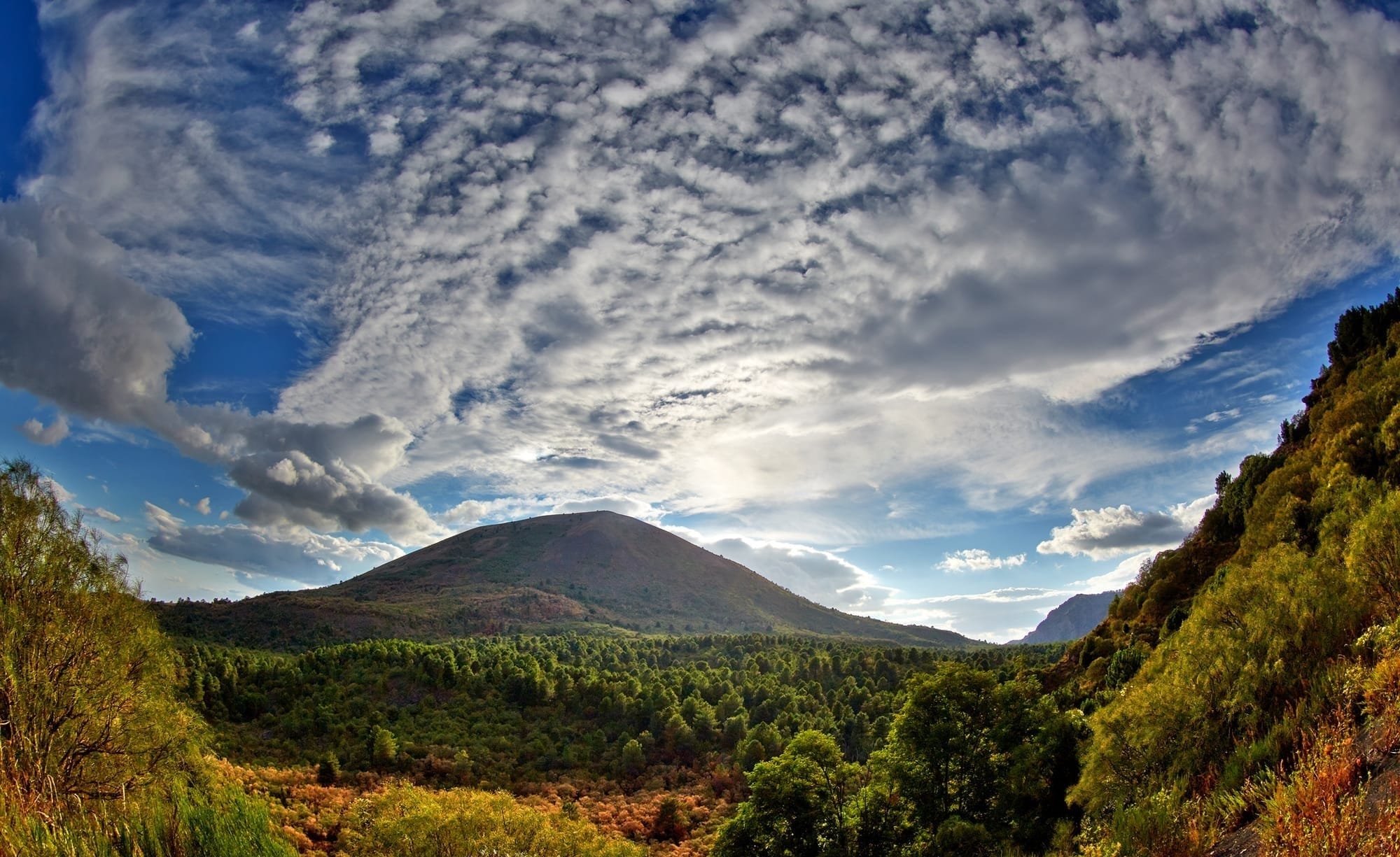Lush green forest covering the slopes of Mount Vesuvius under a wide sky filled with textured clouds in Vesuvius National Park, Italy.