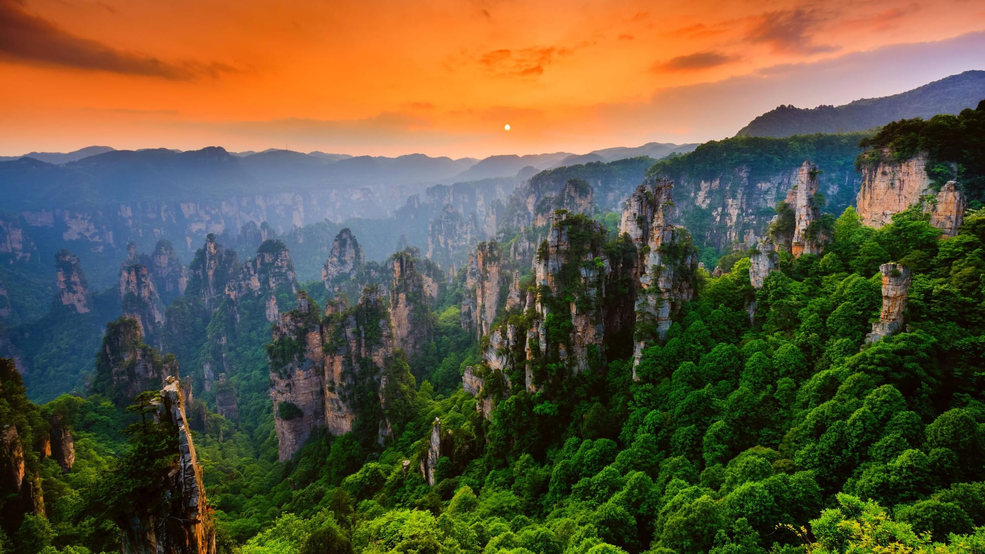 Scenic sunset over the towering quartz-sandstone pillars of Zhangjiajie National Forest Park in China, with lush green vegetation covering the landscape and mist in the distant valleys.