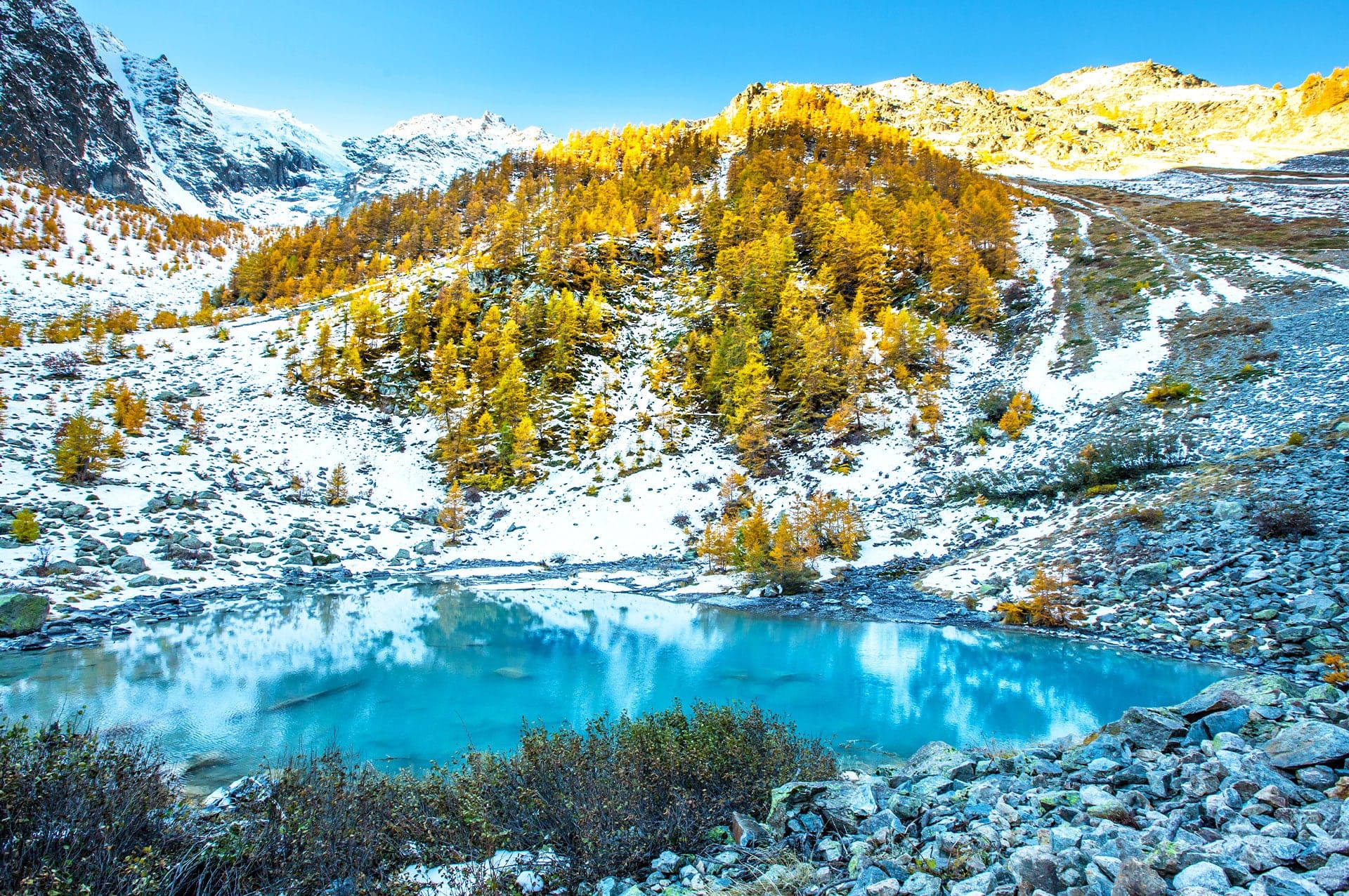 Snow-dusted mountains and a turquoise lake surrounded by golden larch trees in Écrins National Park, France.
