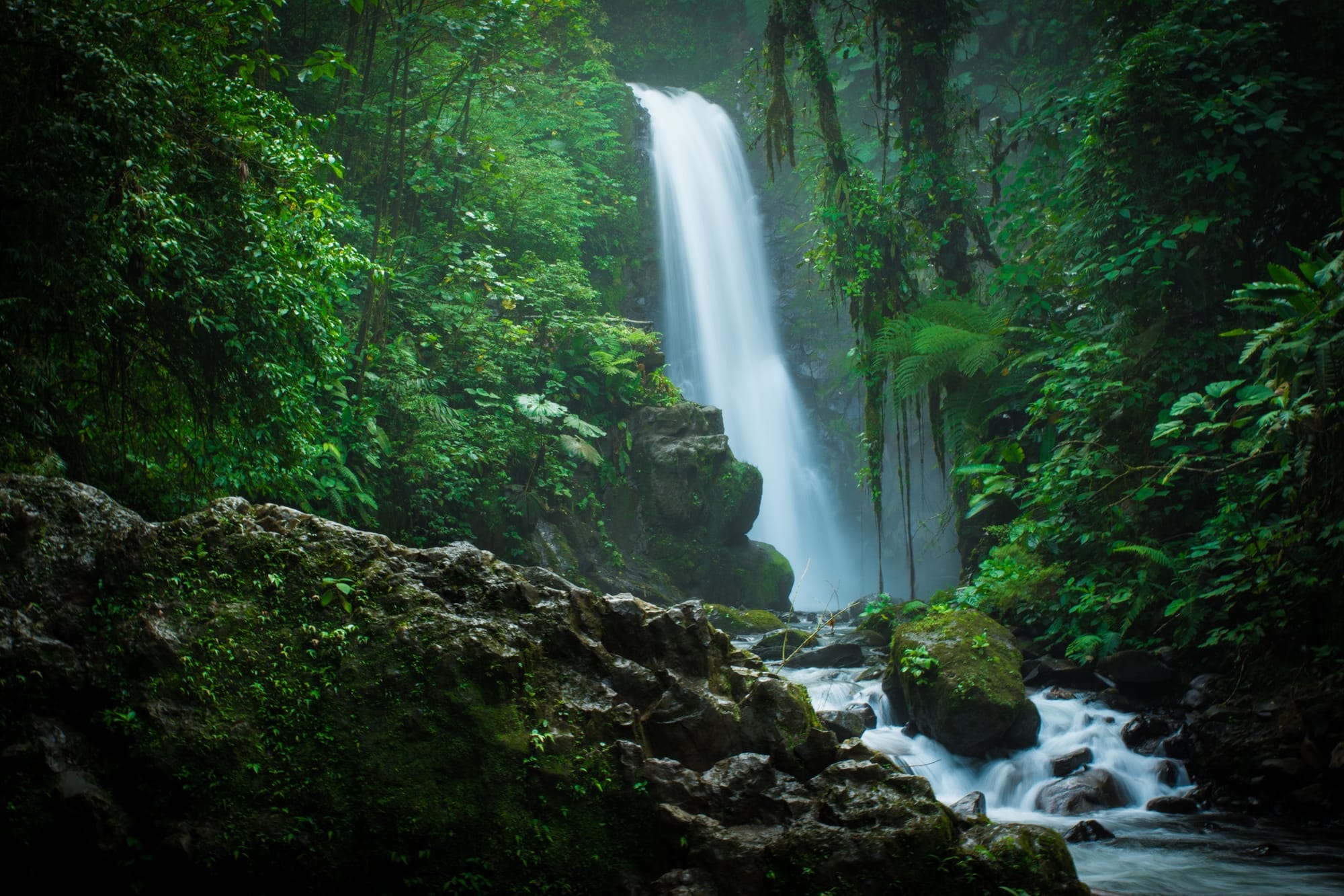 Tall La Paz Waterfall flowing over rocks in the middle of a dense tropical rainforest in Costa Rica, with mist and thick vegetation all around.