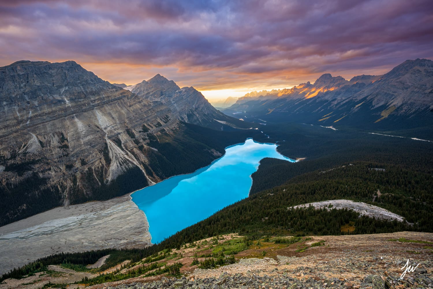 Bright turquoise Lake Peyto winds through forested valleys at sunrise in the Canadian Rockies.