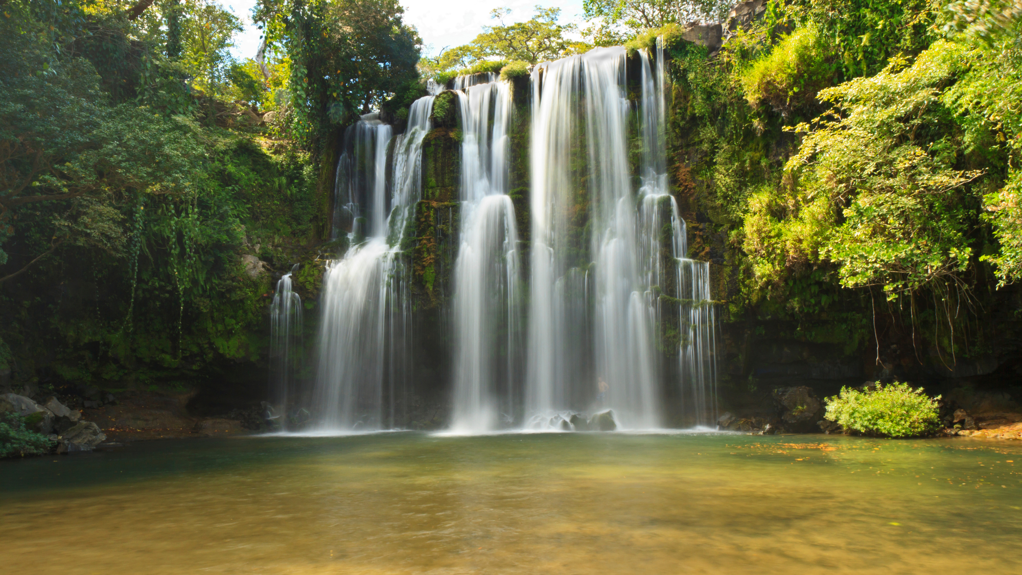 Wide, multi-streamed Llanos de Cortés Waterfall in Costa Rica flowing into a shallow pool, surrounded by green foliage and sunlit trees.
