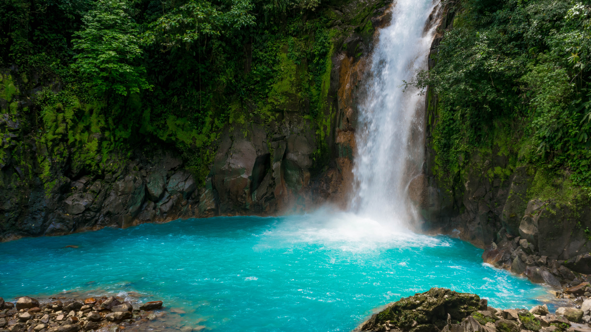 Bright turquoise Rio Celeste Waterfall cascading into a vividly colored pool, surrounded by mossy rock walls and lush jungle in Costa Rica.