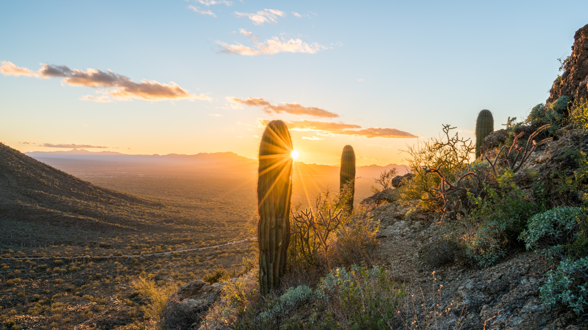 Sunset view in Saguaro National Park, Arizona, with the sun shining through tall saguaro cacti on a rocky hillside, overlooking a vast desert landscape with distant mountains and a partly cloudy sky.