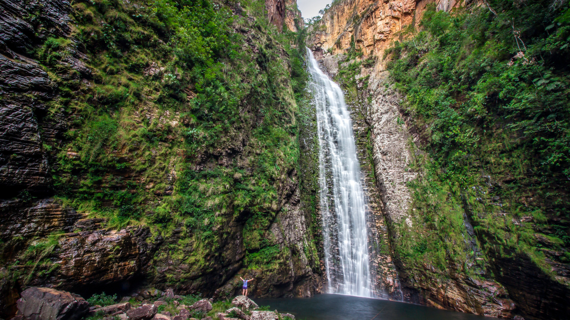 Tall waterfall plunging down a steep, rocky cliff covered in lush green vegetation into a clear pool at Chapada dos Veadeiros National Park in Brazil.