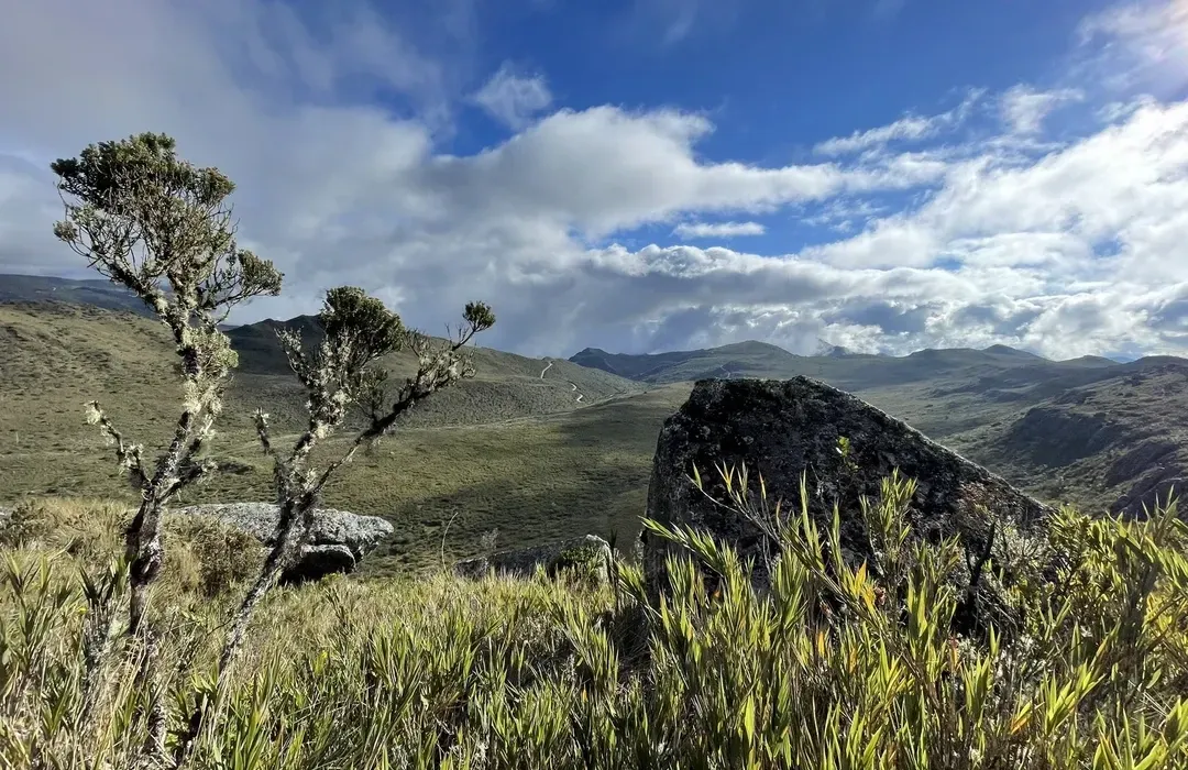 Mountain landscape with rugged terrain and high-altitude vegetation in Chingaza National Park, Colombia.