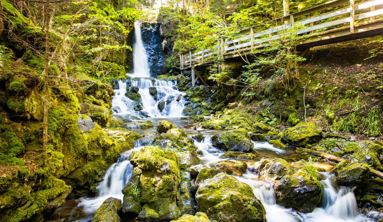 Lush forest setting with cascading Dickson Falls surrounded by moss-covered rocks and a wooden boardwalk in Fundy National Park, Canada.