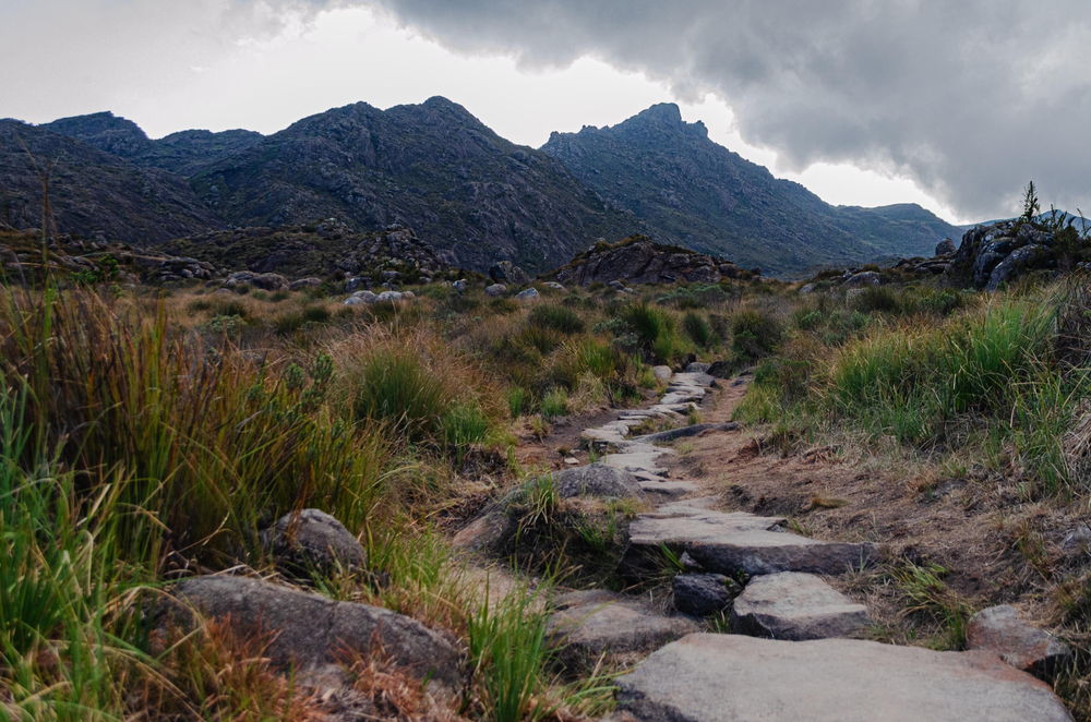 Rocky hiking trail leading through grassy fields toward rugged mountain peaks under a cloudy sky at Itatiaia National Park in Brazil.