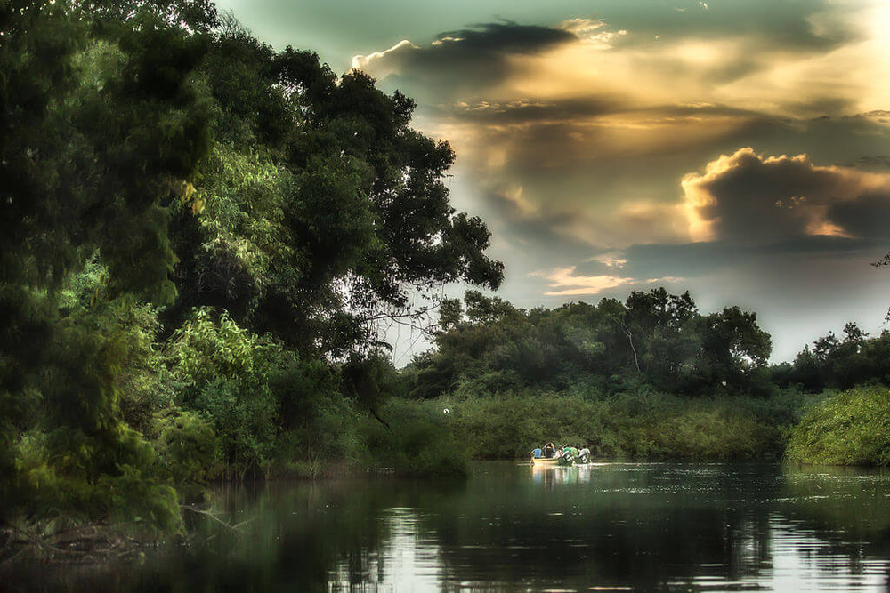 Small boat with people traveling on a calm river surrounded by dense green rainforest at sunset in Jaú National Park, Brazil, with dramatic clouds in the sky.