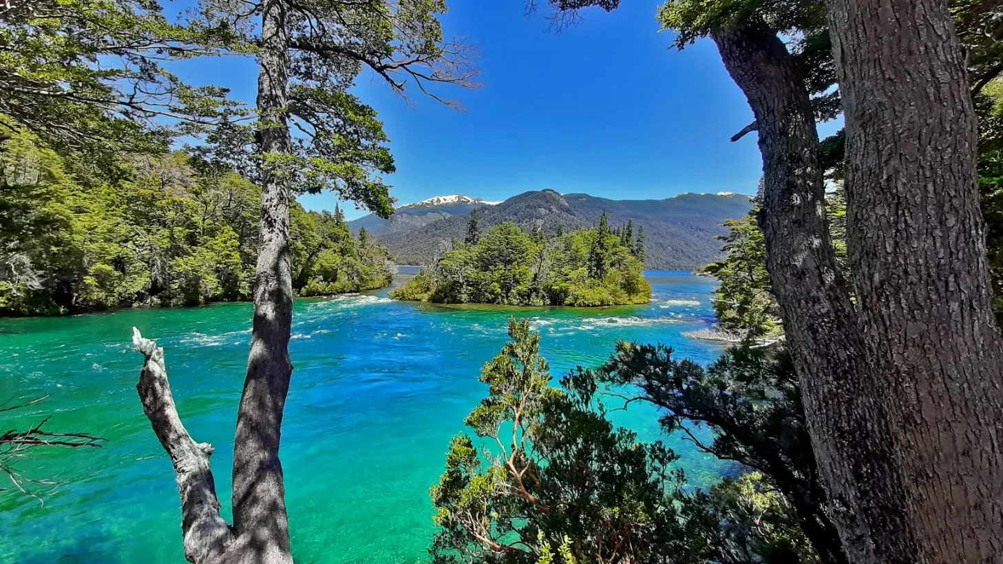 Scenic view of crystal-clear turquoise water surrounded by lush green forest and tall trees in Los Alerces National Park, Argentina, with snow-capped mountains in the background under a clear blue sky.