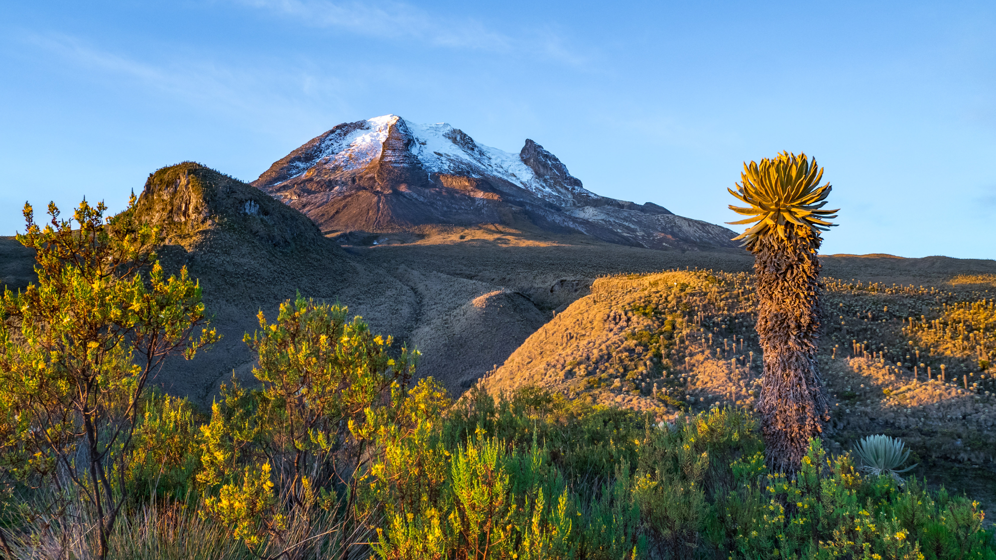 Snow-capped volcanic peaks and alpine vegetation in Colombia’s Los Nevados National Park.