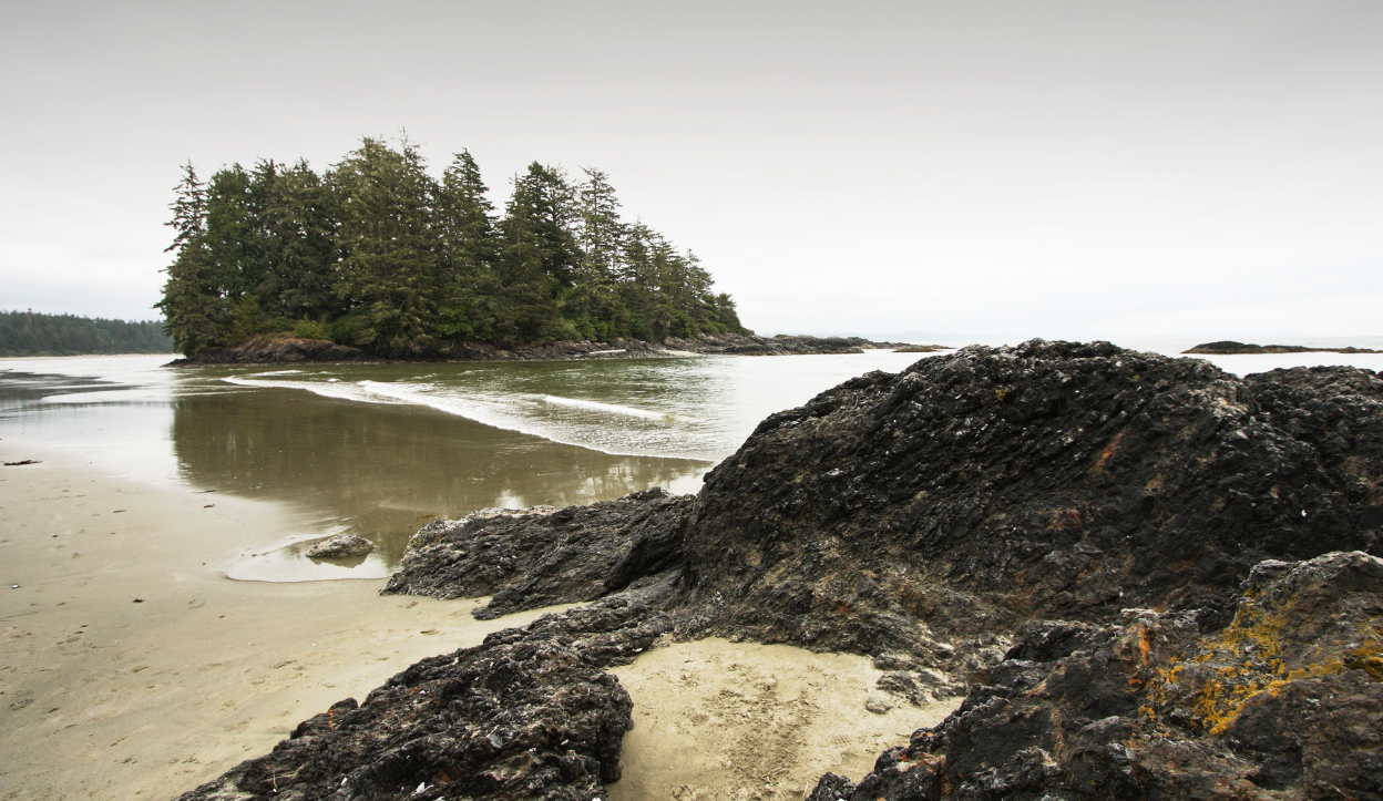 Rocky shoreline with tidal pools and distant evergreen forest under overcast skies in Pacific Rim National Park Reserve, British Columbia, Canada.