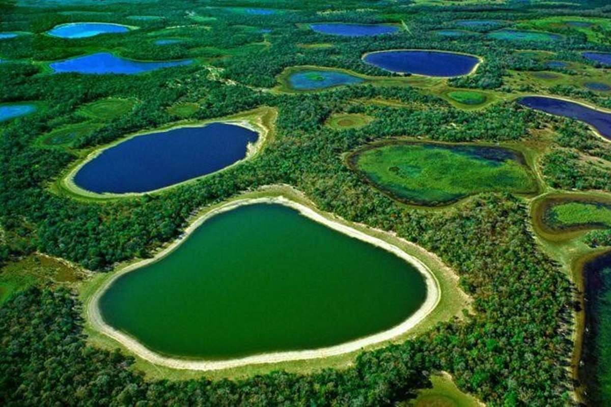 Aerial view of Pantanal Matogrossense National Park in Brazil, showing numerous lakes and lagoons surrounded by lush green forest and wetlands.