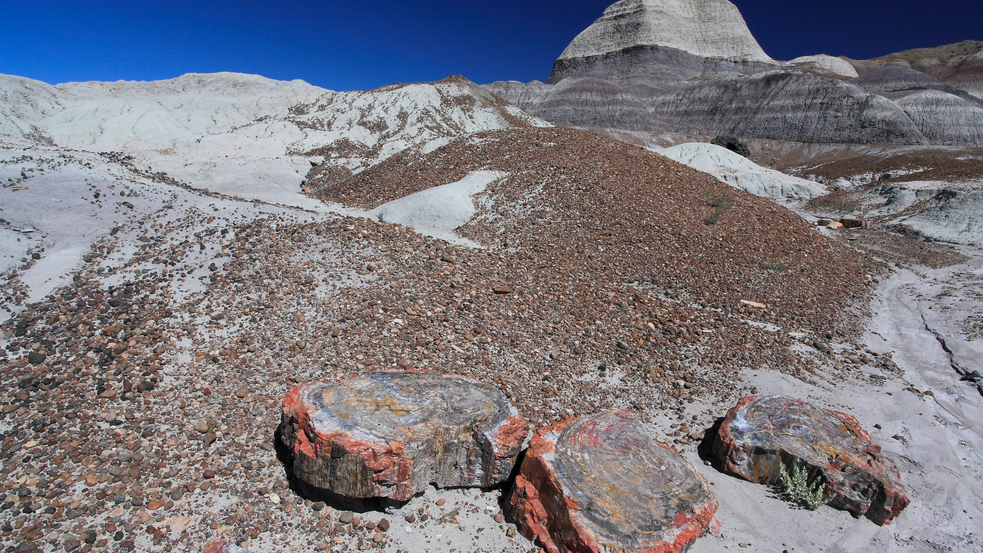 Colorful petrified wood logs scattered on the ground in a rocky, arid landscape with layered hills in the background at Petrified Forest National Park, Arizona, under a clear blue sky.