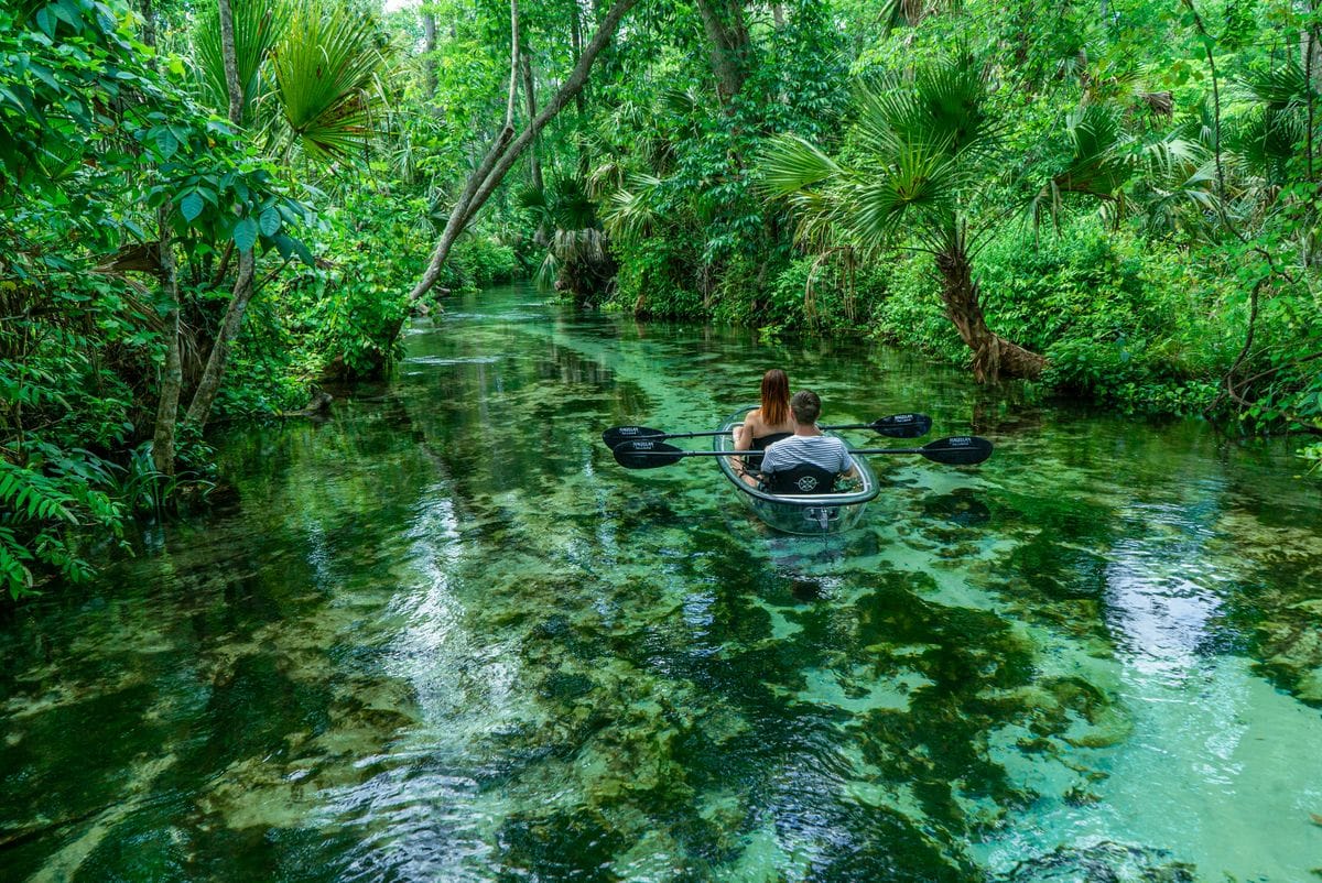 Couple paddling a transparent kayak through the clear, shallow waters of Rock Springs Run in Florida, surrounded by dense tropical forest.