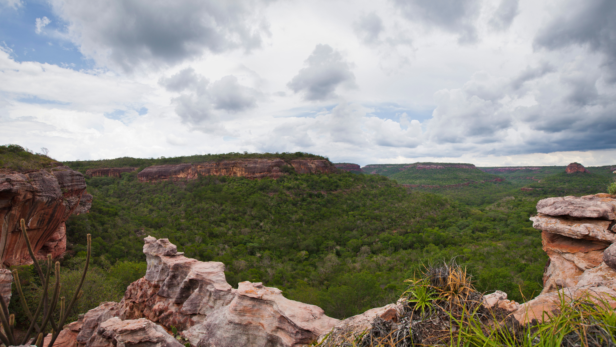 Panoramic view of rocky cliffs and lush green forested valleys under a cloudy sky at Serra da Canastra National Park in Brazil.