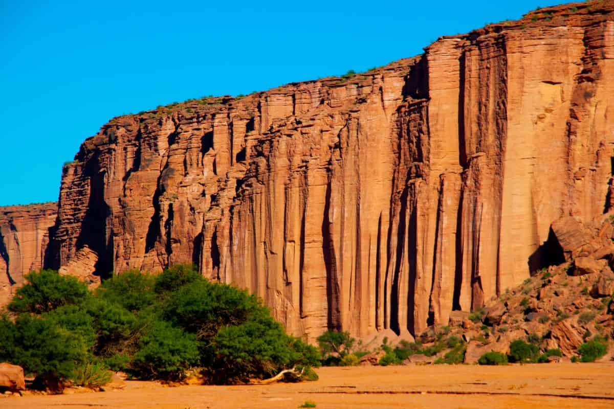 Dramatic red sandstone cliffs tower over desert vegetation in Talampaya National Park, Argentina, under a clear blue sky, highlighting the park's arid, rugged landscape.