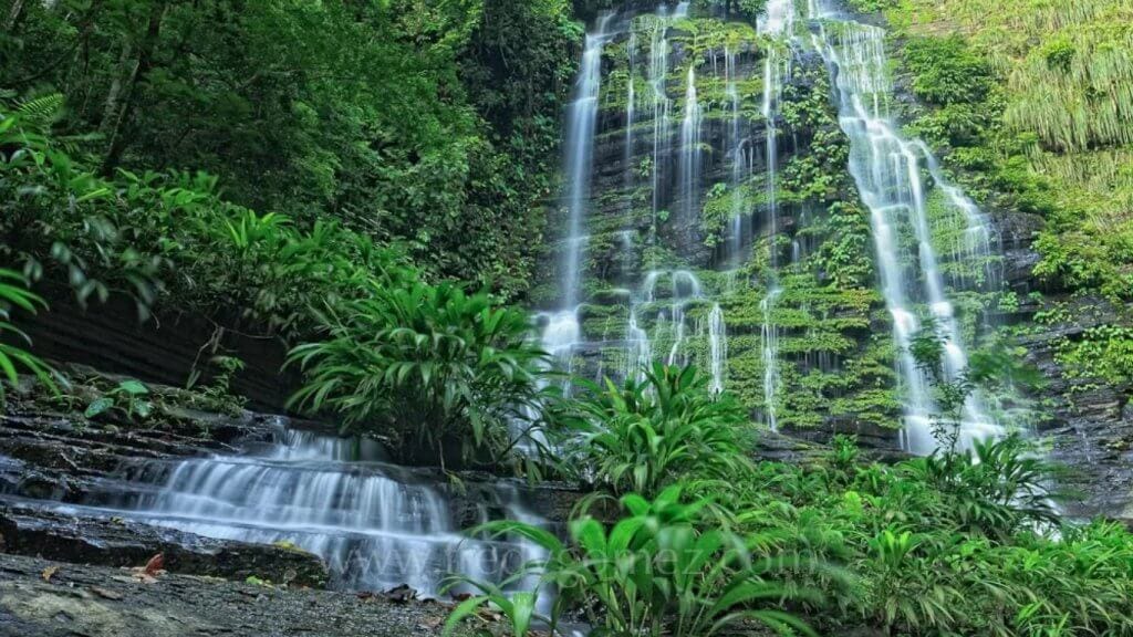 Cascading waterfall flows through dense green forest in Colombia's Los Katíos National Park.