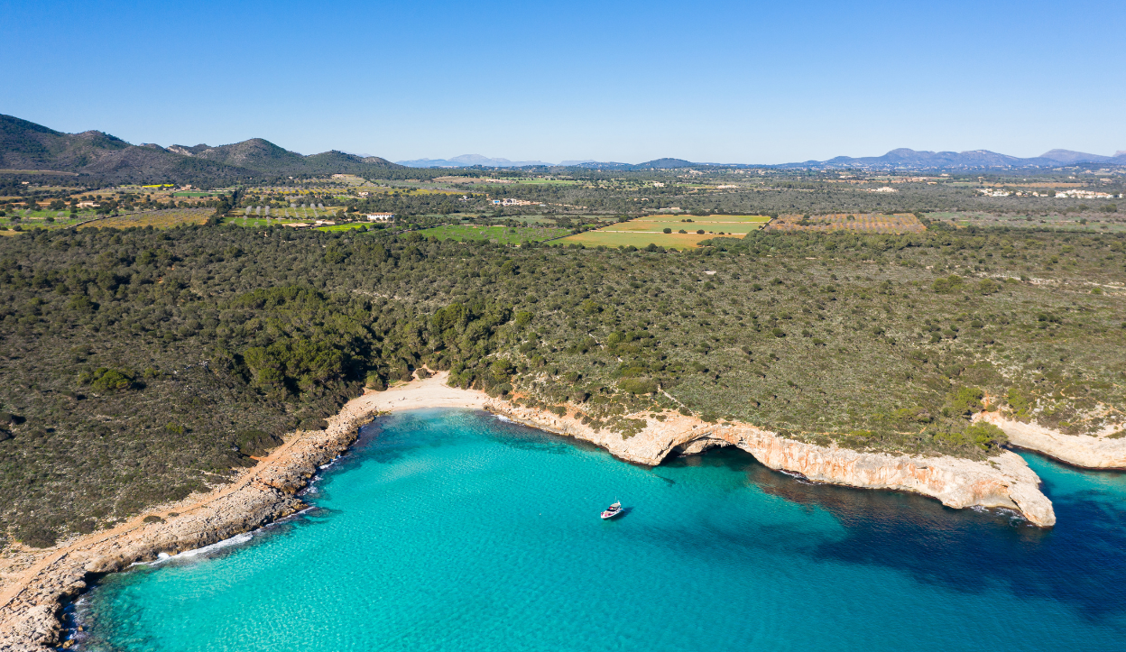 Secluded cove with turquoise water and a small sandy beach surrounded by dense forest at Cala Varques in Mallorca, Spain.