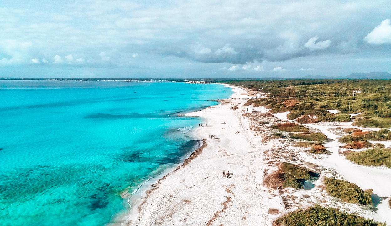Long stretch of white sand and shallow turquoise water at Es Trenc Beach in Mallorca, Spain, bordered by natural dunes and vegetation.