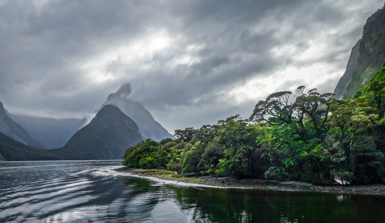 Dramatic fiord landscape in Fiordland National Park, New Zealand, with steep forested cliffs and misty mountains under overcast skies.