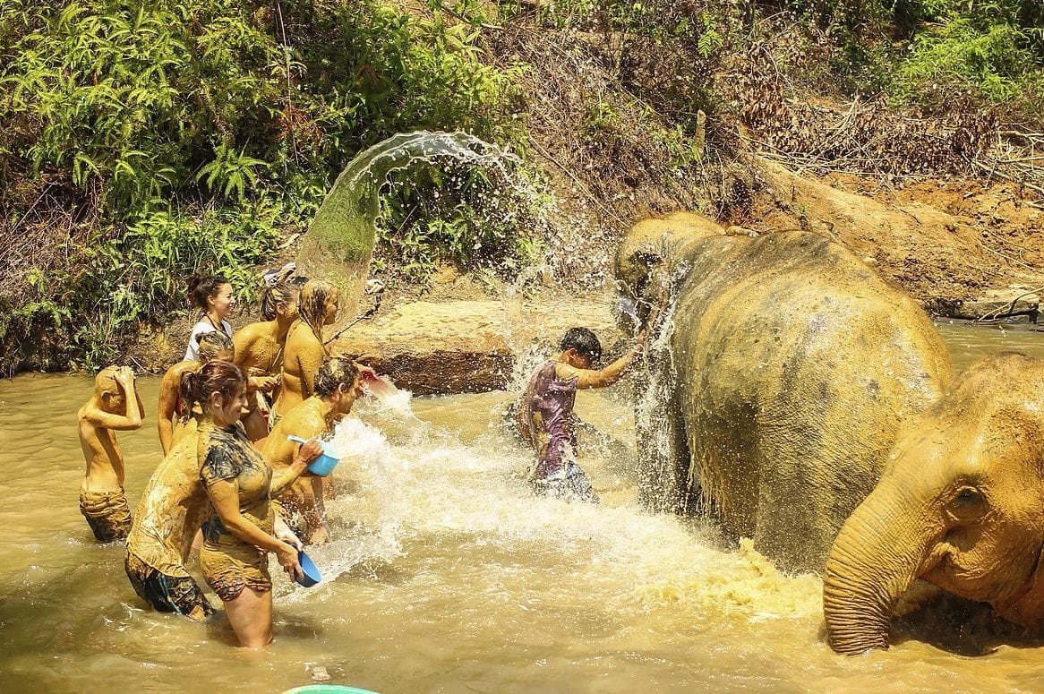 Tourists bathing elephants in a muddy river in Chiang Mai, Thailand.