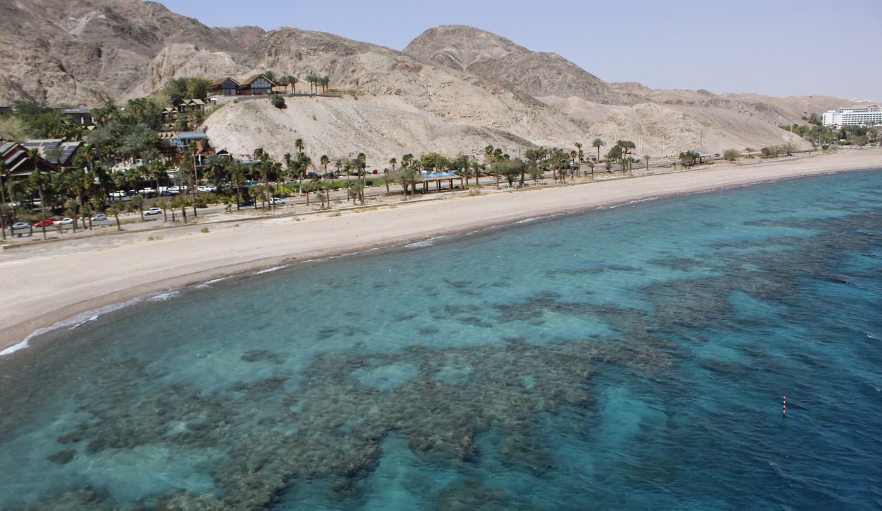 View of coral in clear waters with mountains in the background at Almog Beach In Eilat, Israel.