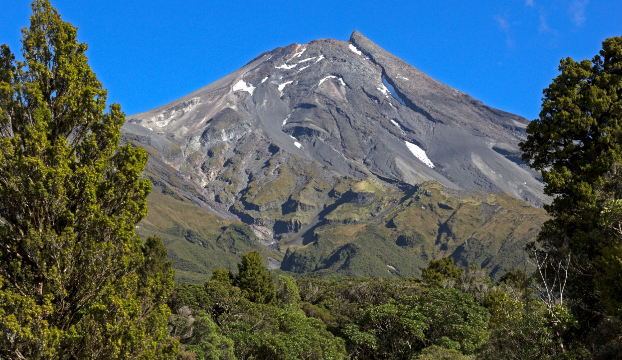 Wooden walkway leading toward the snow-covered peak of Mount Taranaki in Egmont National Park, New Zealand, surrounded by lush green forest.