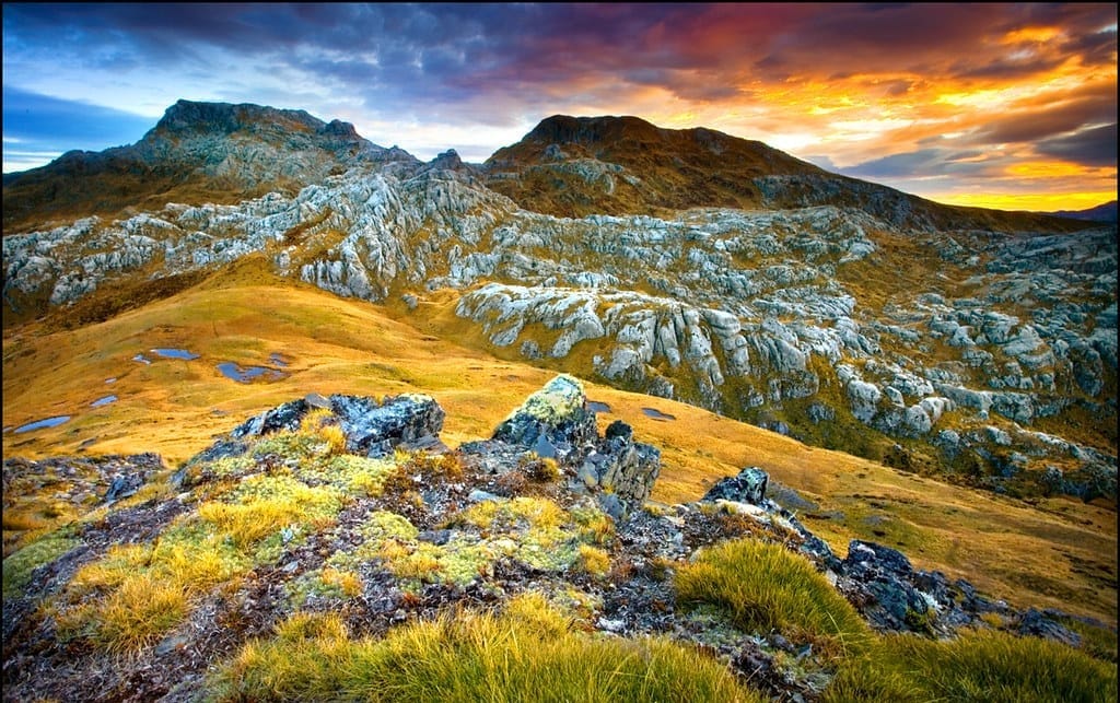 Sunrise over rugged limestone peaks and golden tussock fields at Mount Owen in Kahurangi National Park, New Zealand.