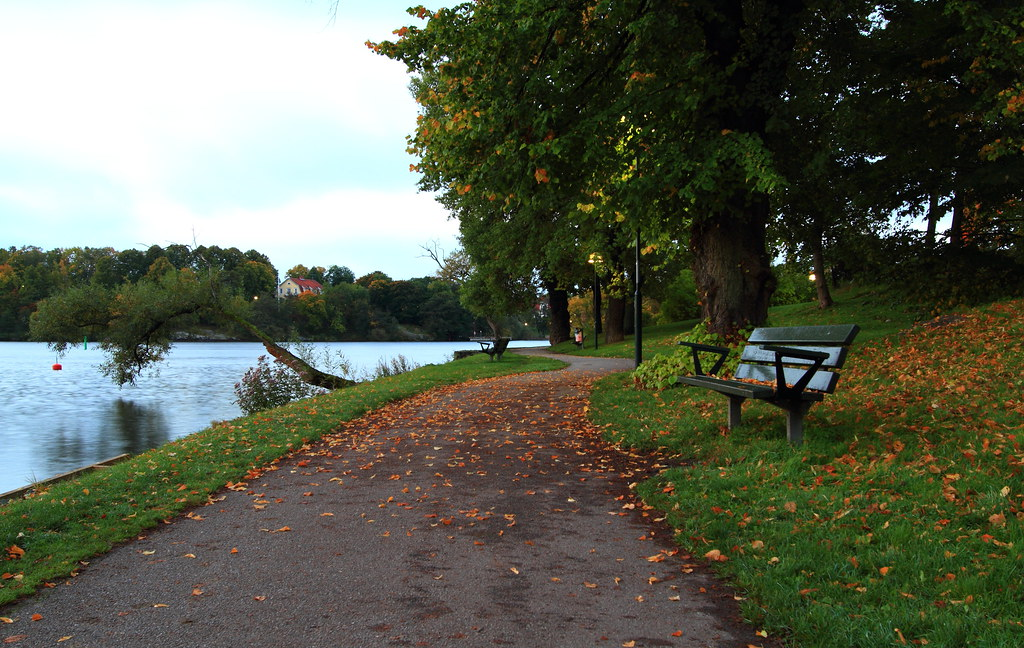 A walking trail and a bench beside Lake Mälaren in Stockholm, Sweden.
