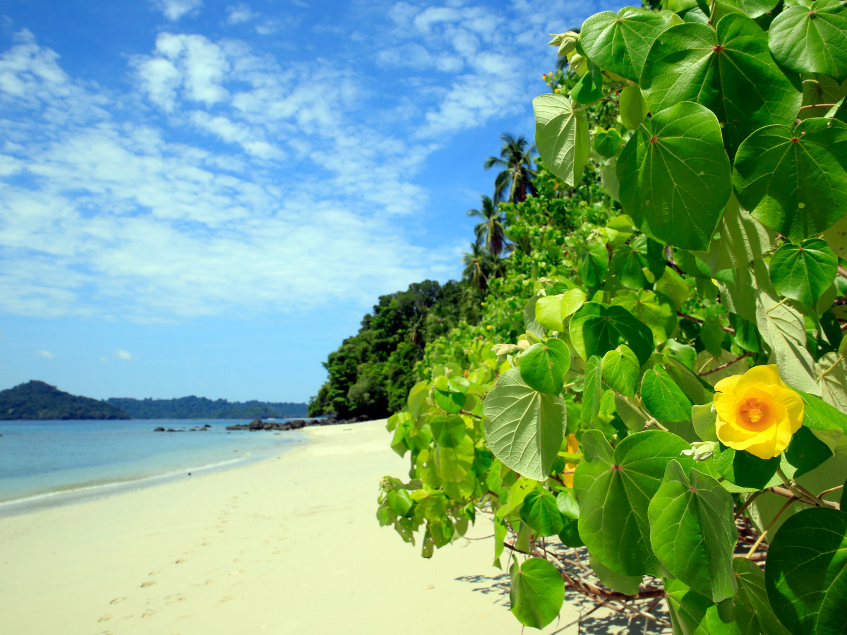 Beach at Coiba National Park, Panama