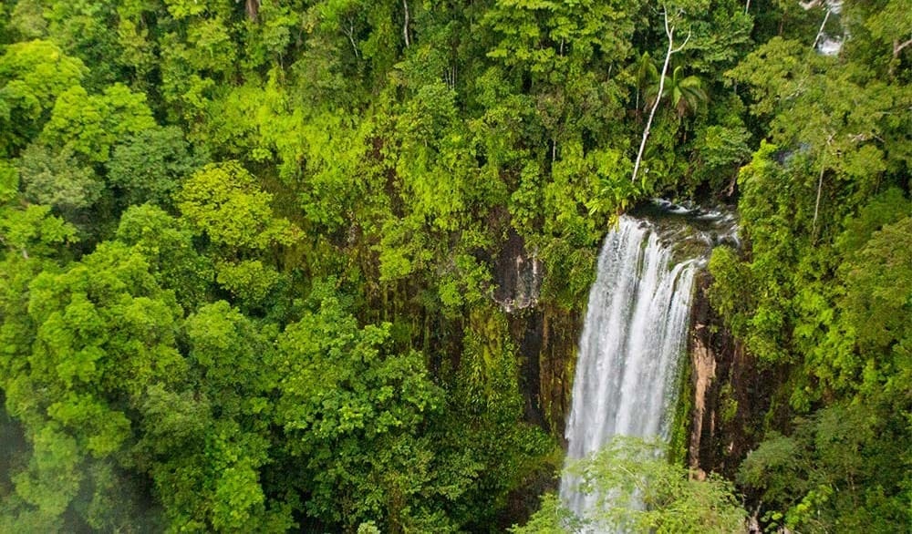 water fall in Indio Maíz Biological Reserve Nicaragua
